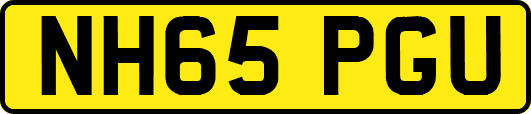 NH65PGU