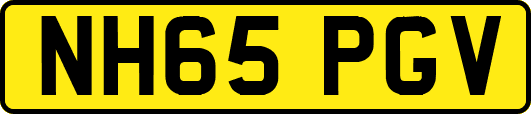 NH65PGV