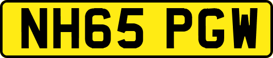 NH65PGW