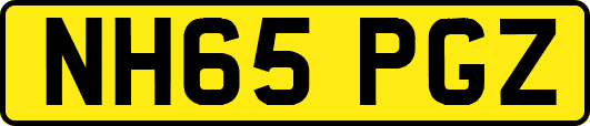 NH65PGZ