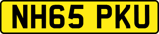 NH65PKU