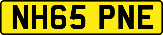 NH65PNE