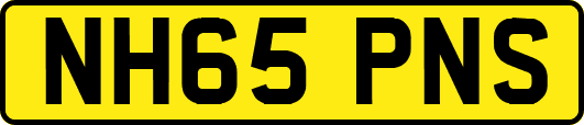NH65PNS