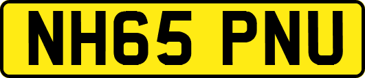 NH65PNU