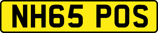 NH65POS