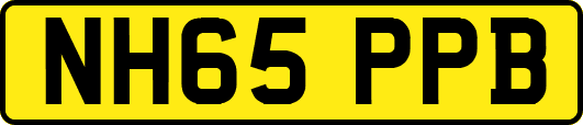 NH65PPB
