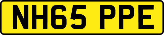 NH65PPE