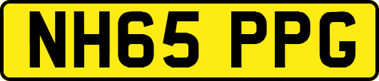 NH65PPG