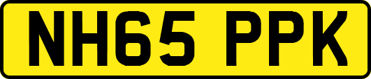 NH65PPK