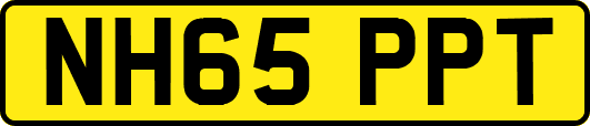 NH65PPT