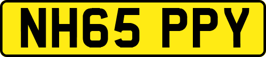 NH65PPY