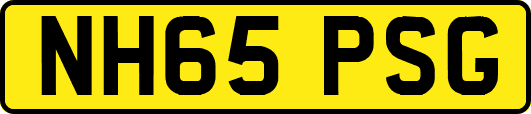 NH65PSG