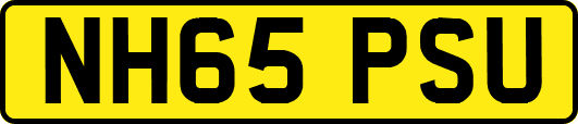 NH65PSU