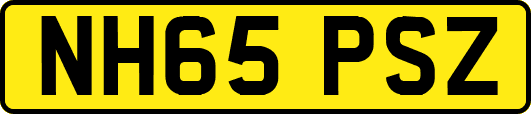 NH65PSZ