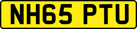 NH65PTU
