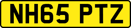 NH65PTZ