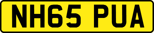 NH65PUA