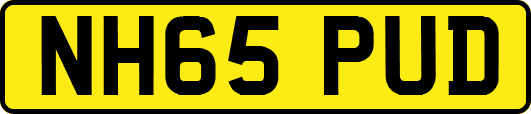 NH65PUD