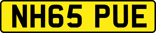NH65PUE