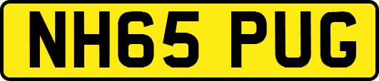 NH65PUG