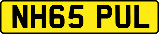NH65PUL
