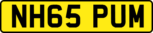 NH65PUM