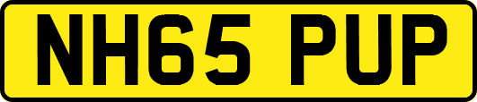 NH65PUP