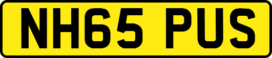 NH65PUS