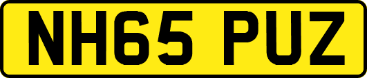 NH65PUZ