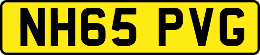 NH65PVG