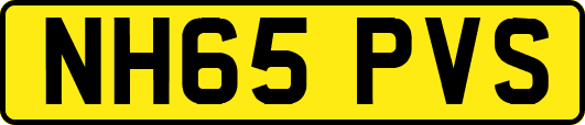NH65PVS