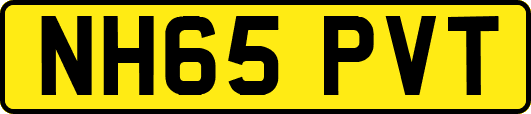 NH65PVT