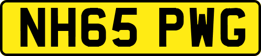 NH65PWG