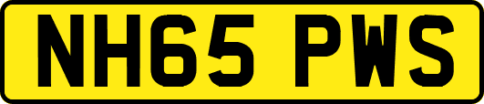 NH65PWS