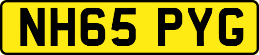 NH65PYG