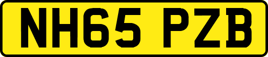 NH65PZB