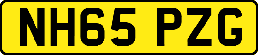 NH65PZG