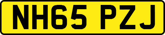 NH65PZJ