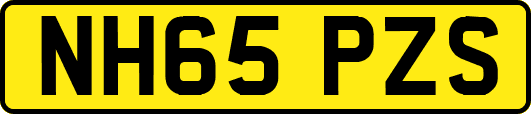 NH65PZS