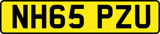NH65PZU