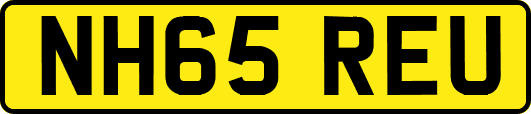 NH65REU