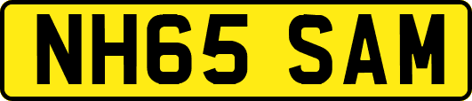 NH65SAM