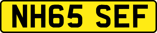 NH65SEF