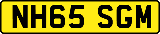 NH65SGM