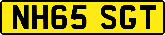 NH65SGT