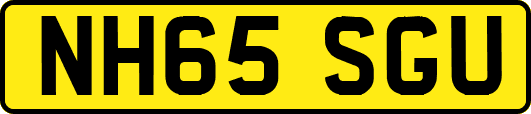 NH65SGU