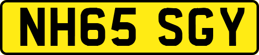 NH65SGY