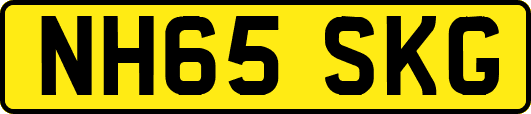 NH65SKG