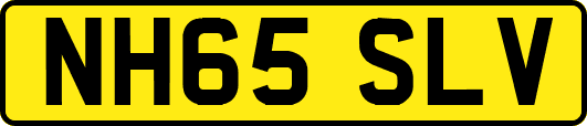 NH65SLV