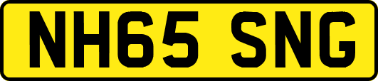 NH65SNG